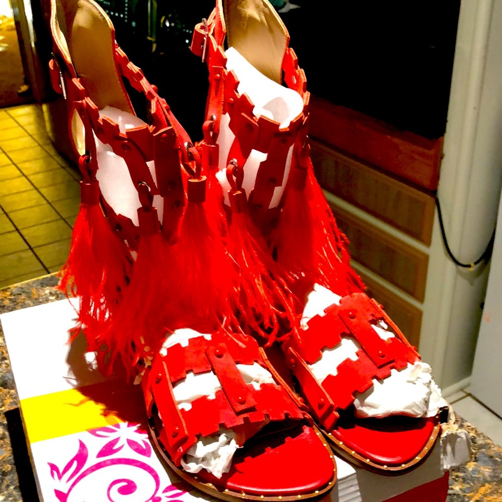 Gladiators - image 1